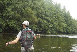 flyingfishingbarbel