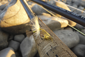 flyingfishingbarbel