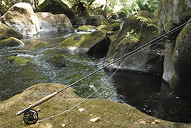 flyingfishingbarbel